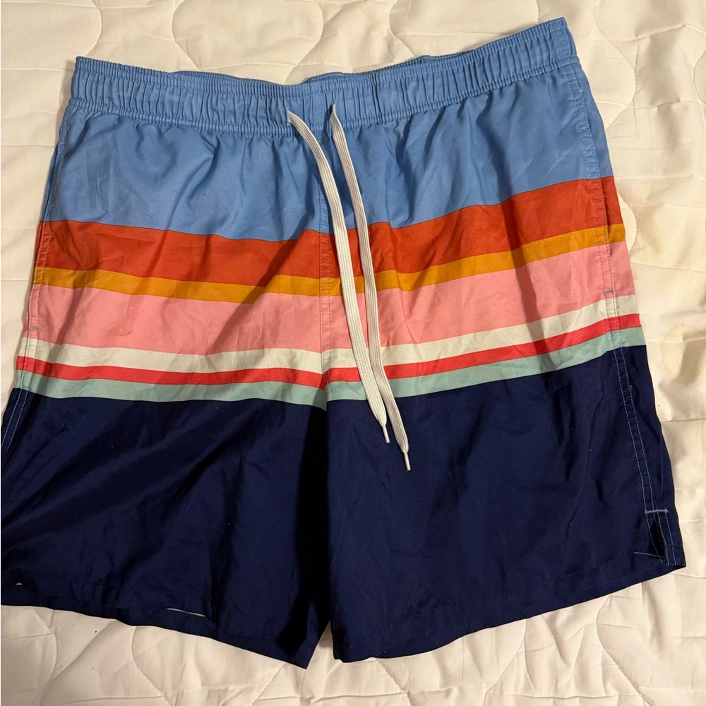 Goodfellow & Co Multicolor Striped Swim Trunks